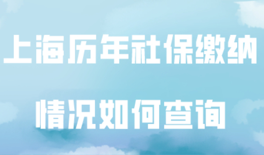 上海历年社保缴纳情况如何查询