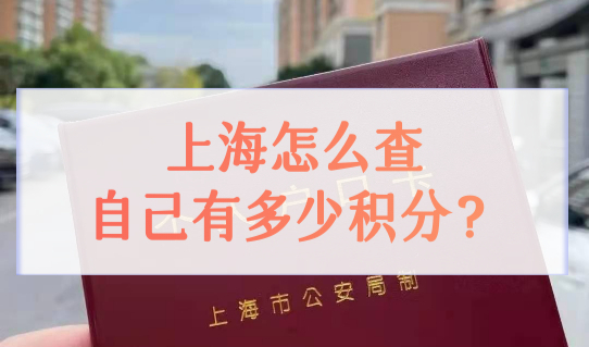 上海怎么查自己有多少积分？上海居住证积分查询方法，超简单！