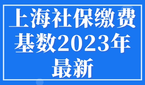 上海社保缴费基数2023年最新，历年上海社会平均工资一览