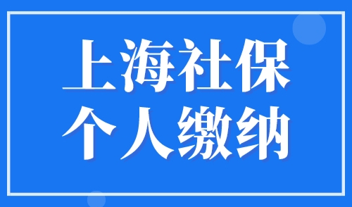 上海社保个人缴纳（ 社保基数标准2023年），上海社保查询网官网！