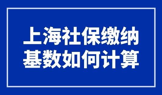 上海社保缴纳基数如何计算？人社局官方回应了